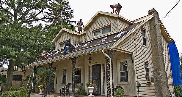 Best Roof Repair Services  in West Fork, AR